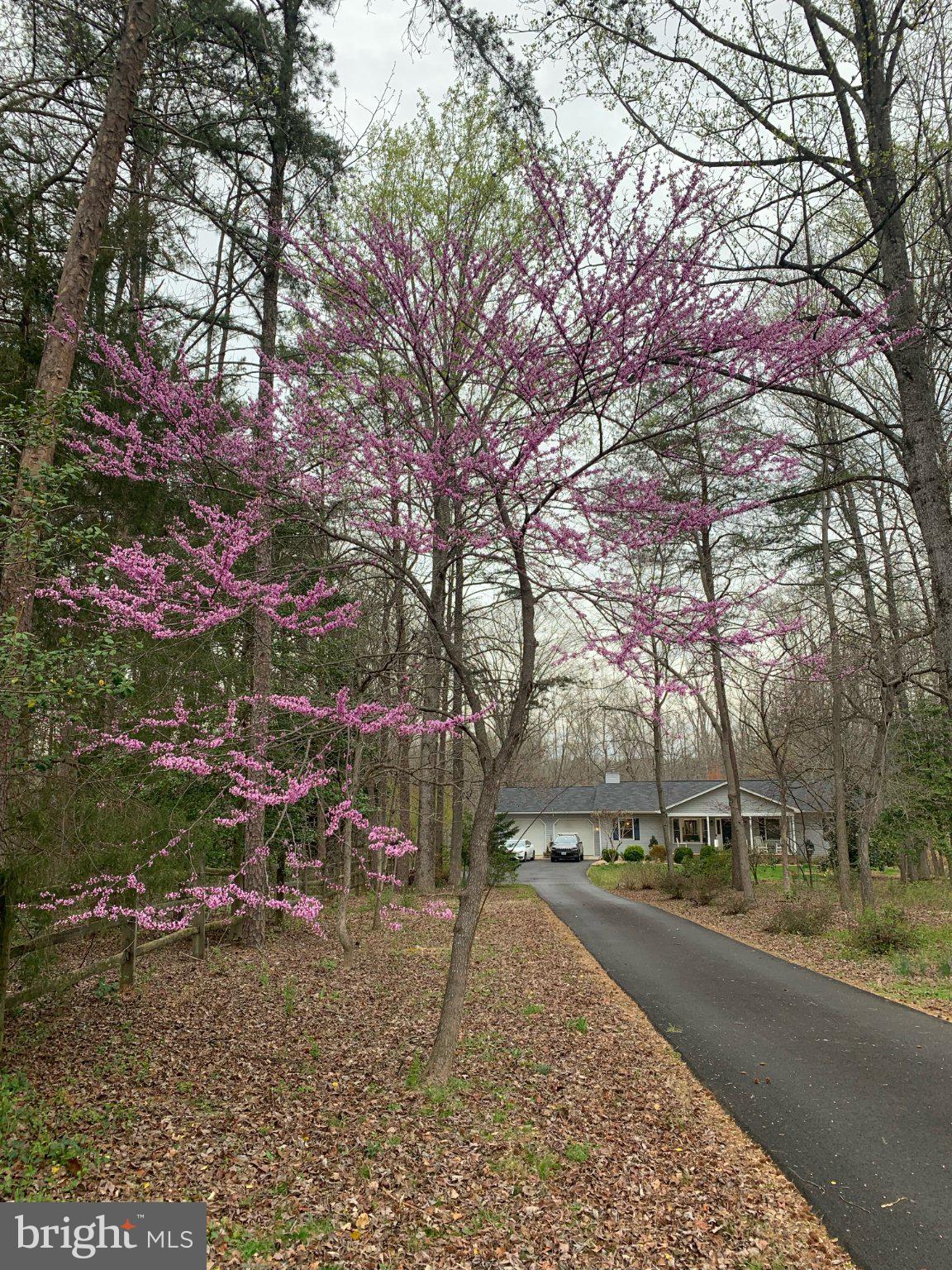 230 RICHARDS FERRY ROAD