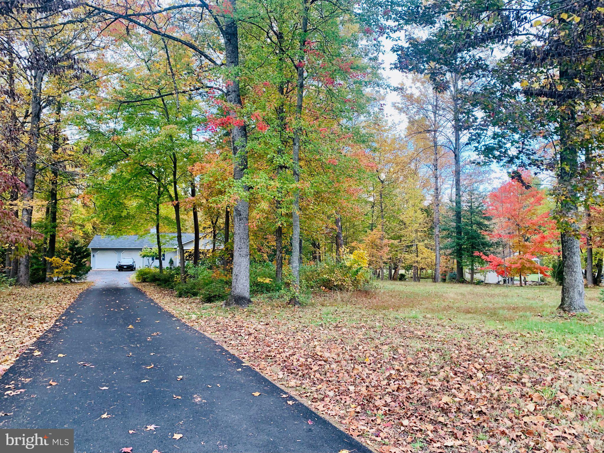 230 RICHARDS FERRY ROAD