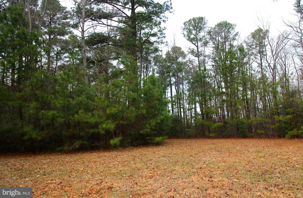 LOT# 7 MURPHY MILL LN