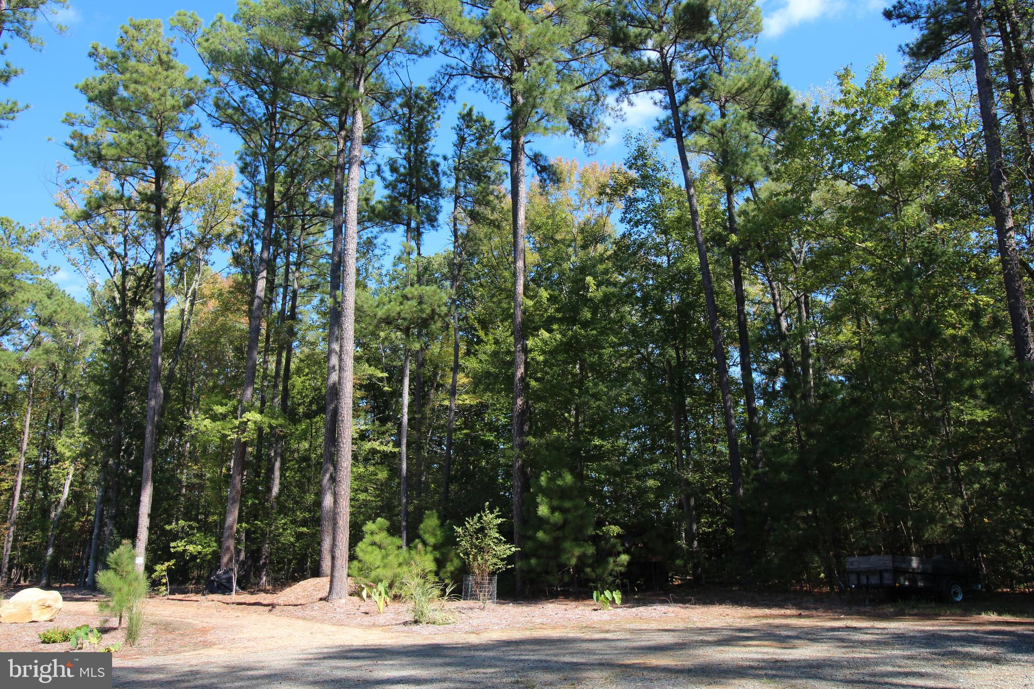 LOT# 7 MURPHY MILL LN