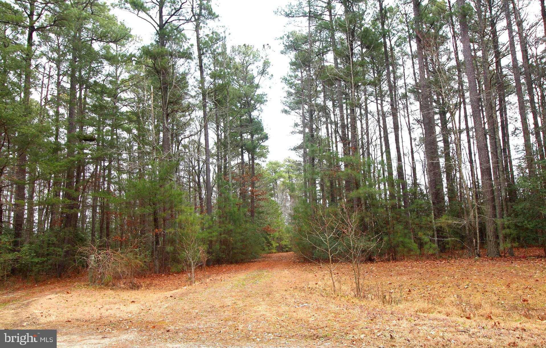 LOT# 7 MURPHY MILL LN