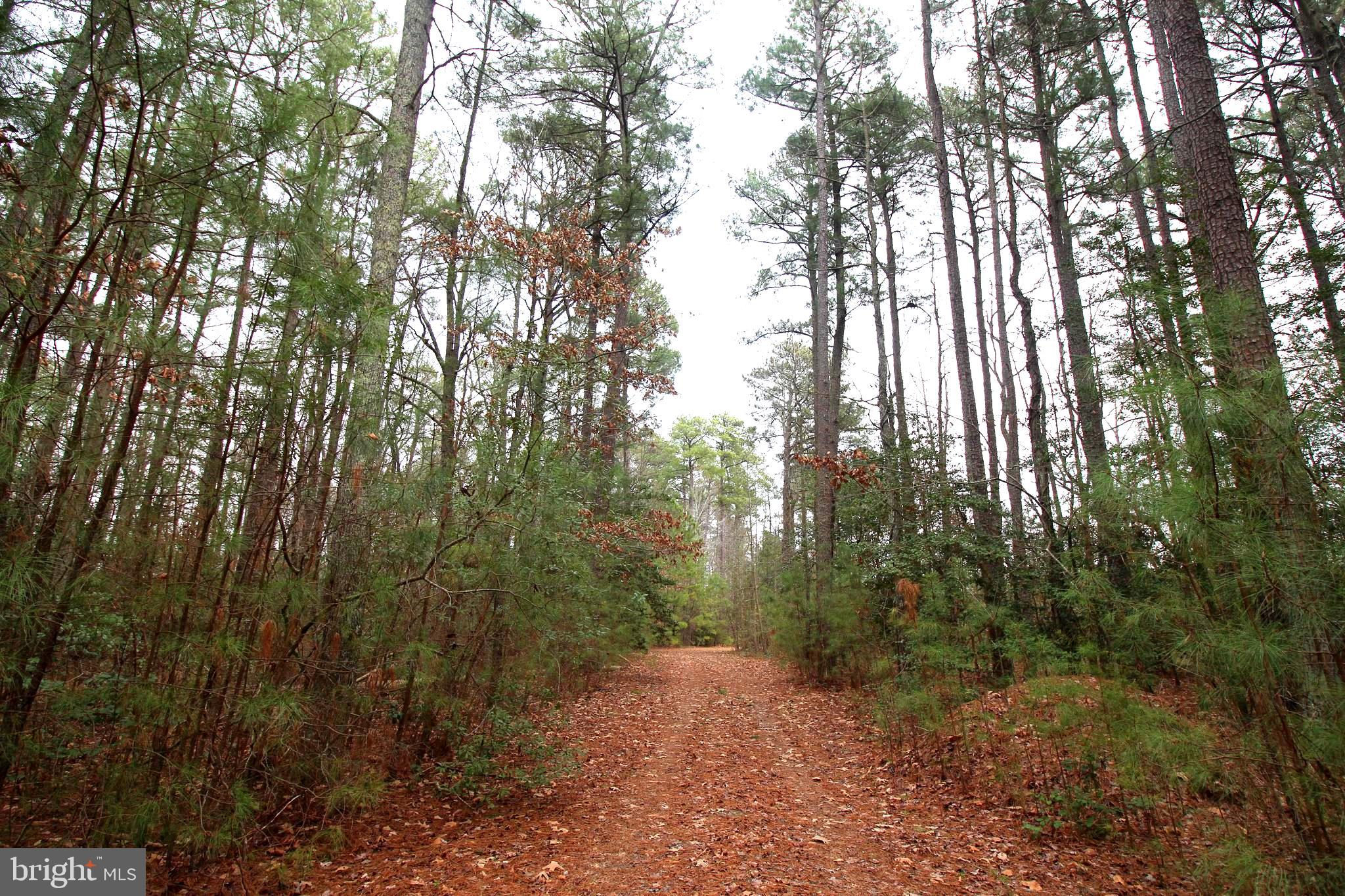 LOT# 7 MURPHY MILL LN