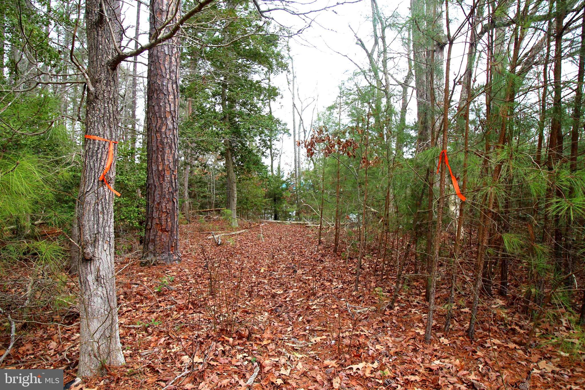 LOT# 7 MURPHY MILL LN