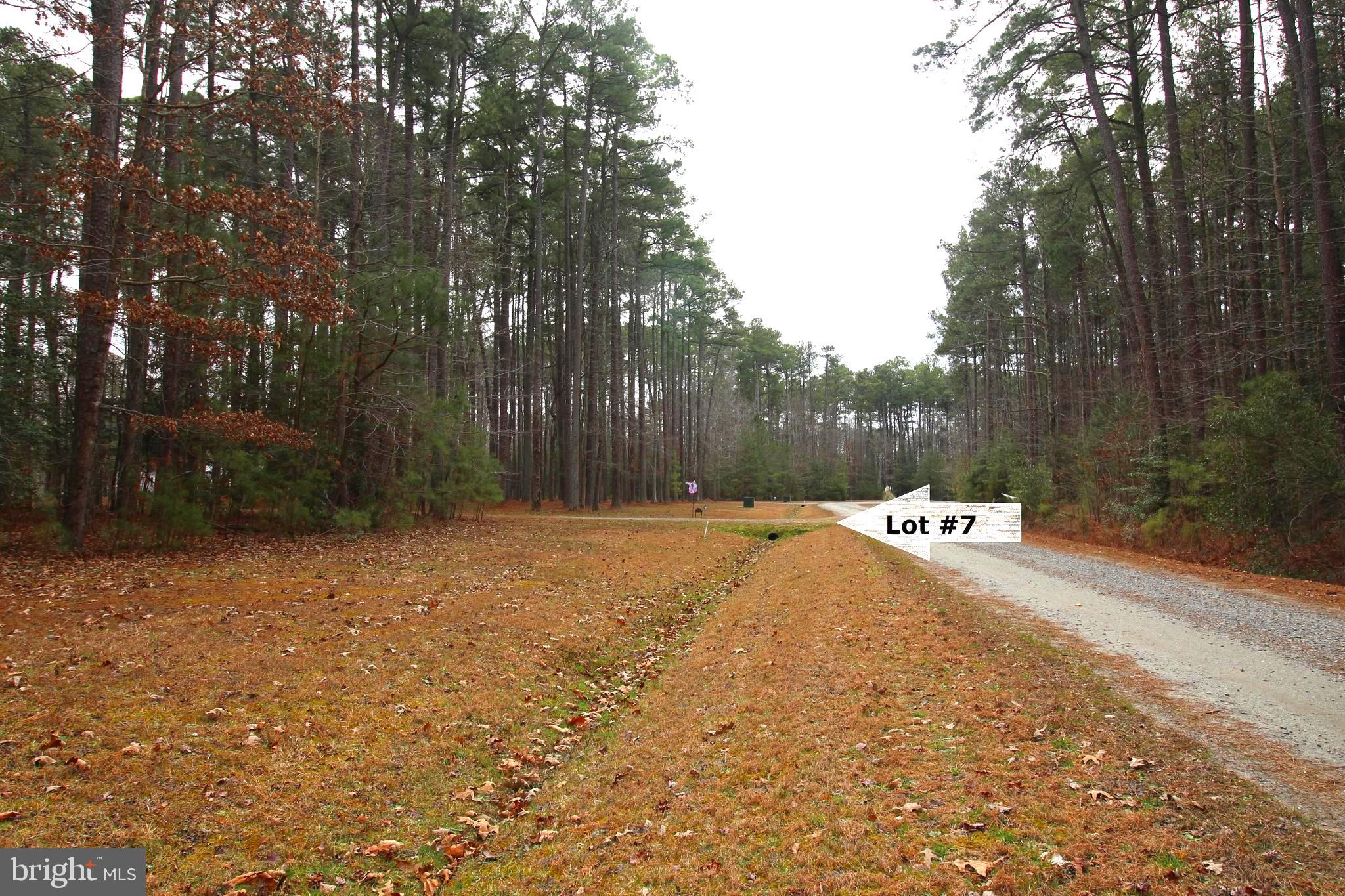 LOT# 7 MURPHY MILL LN