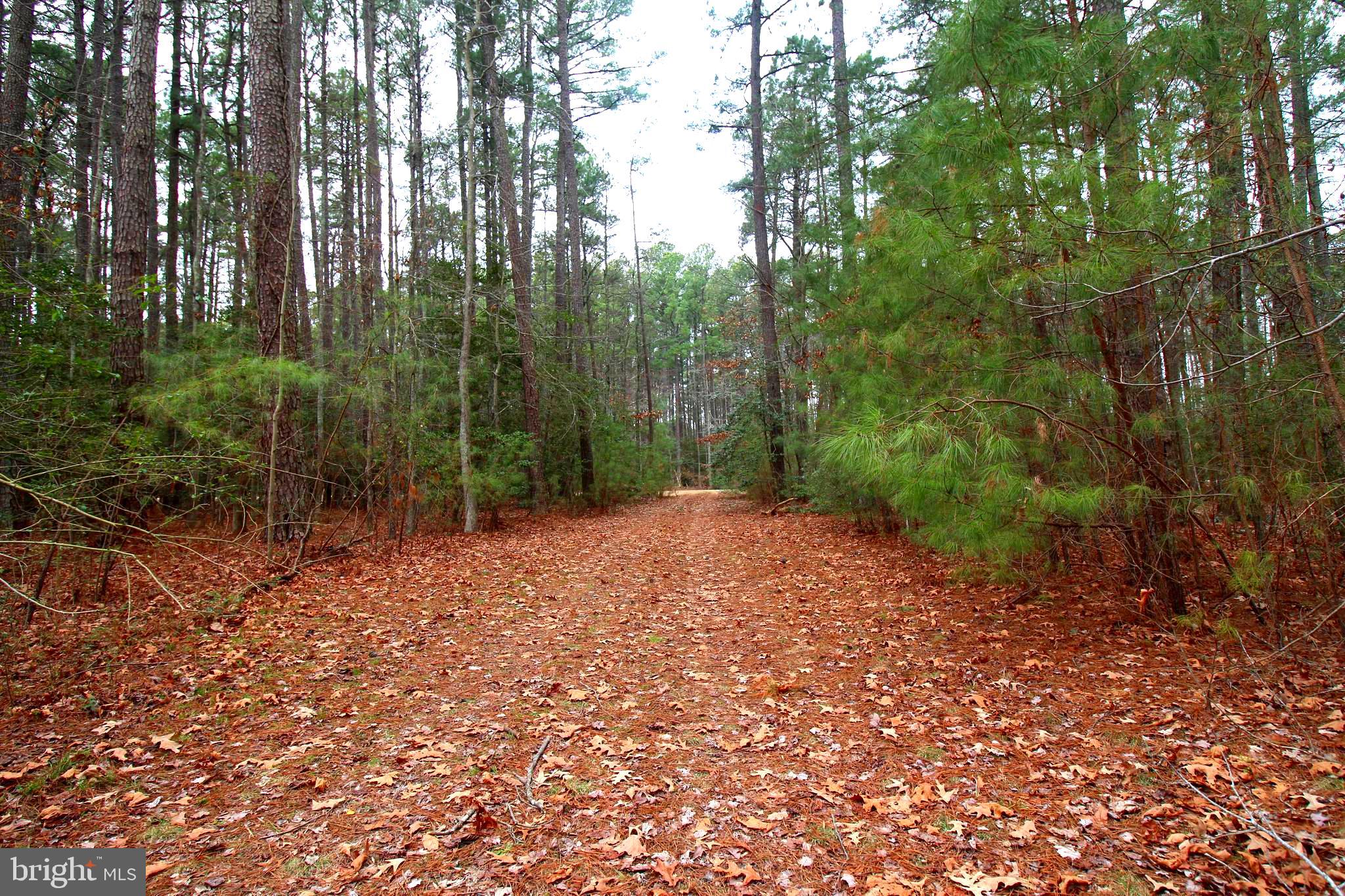 LOT# 7 MURPHY MILL LN
