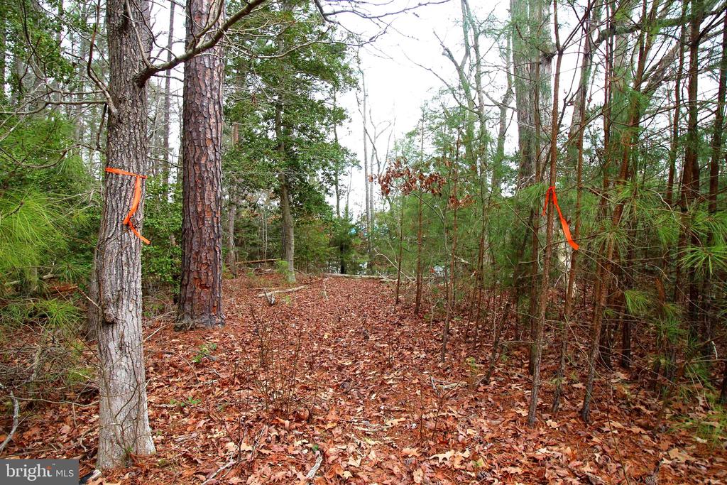 LOT# 7 MURPHY MILL LN
