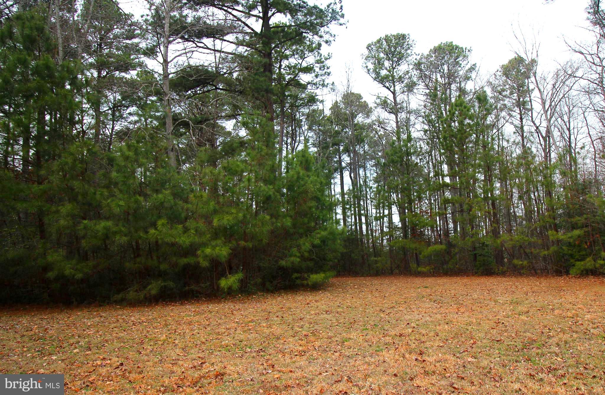 LOT# 7 MURPHY MILL LN