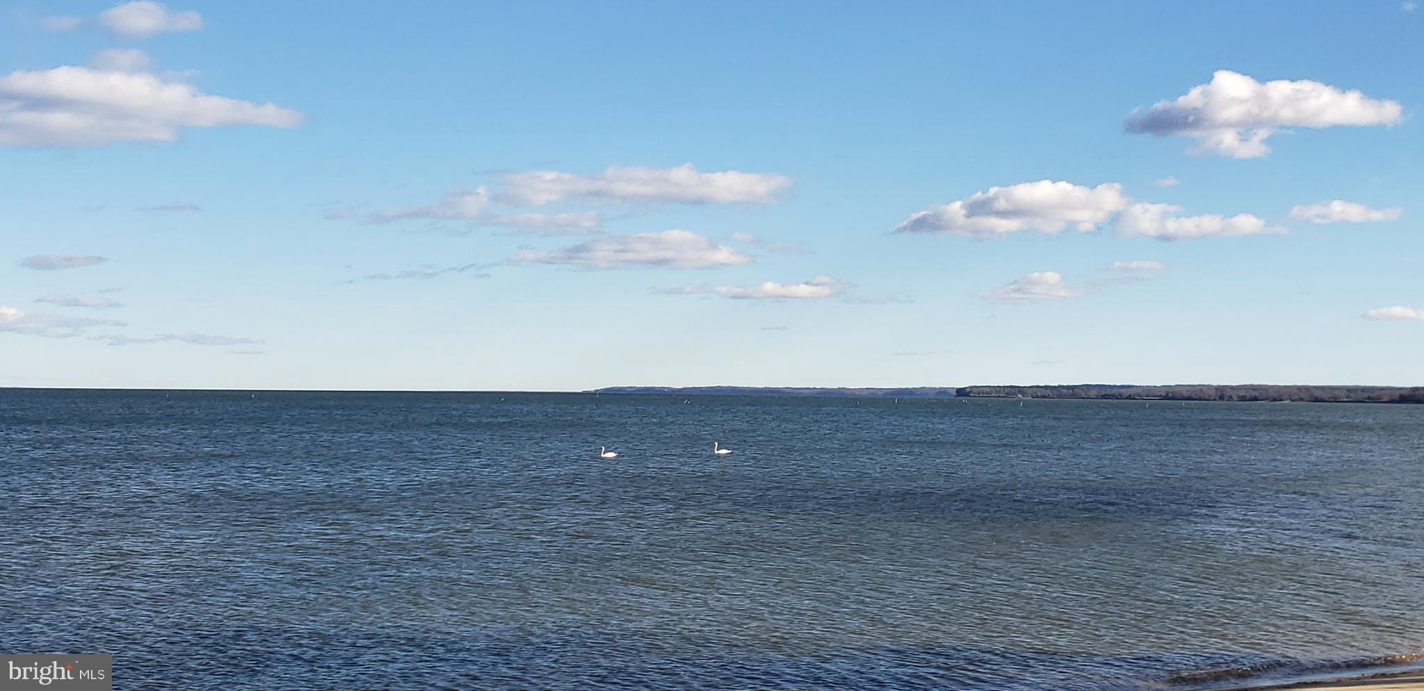 1233 HOLLY VISTA DRIVE