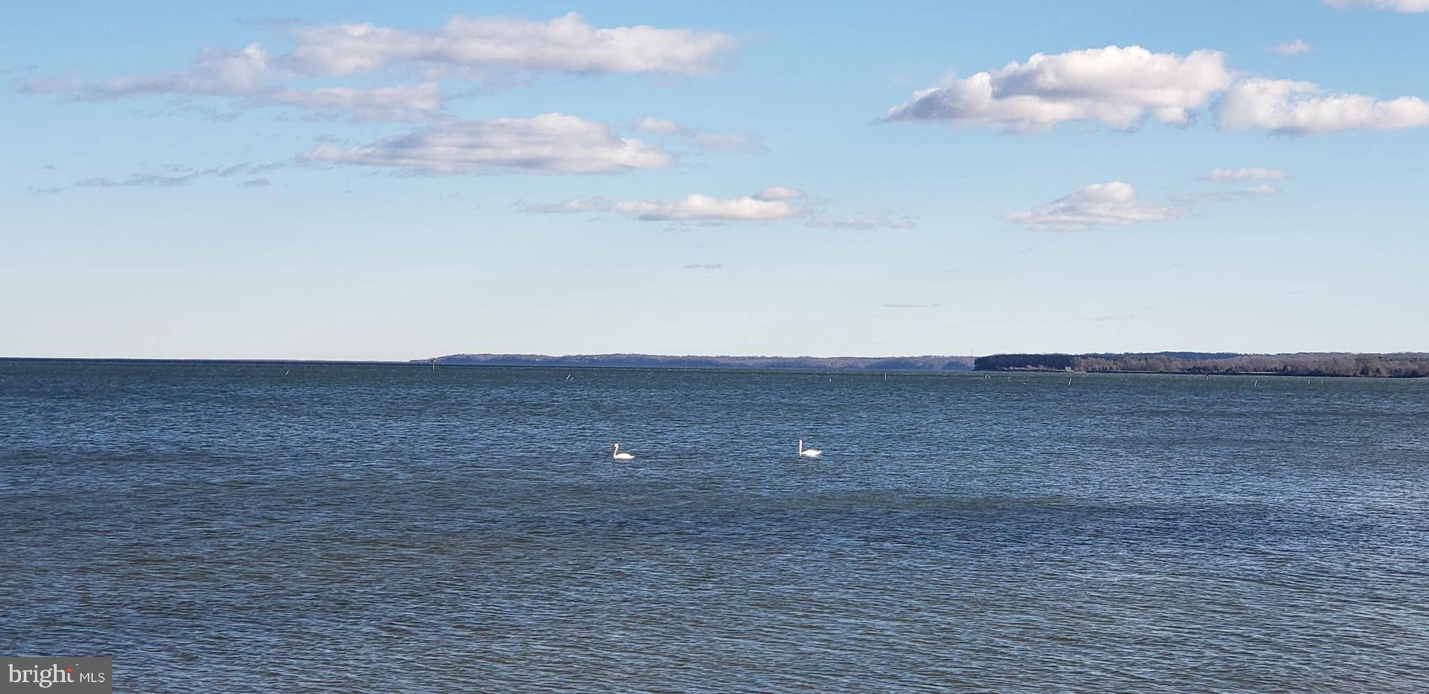 1233 HOLLY VISTA DRIVE