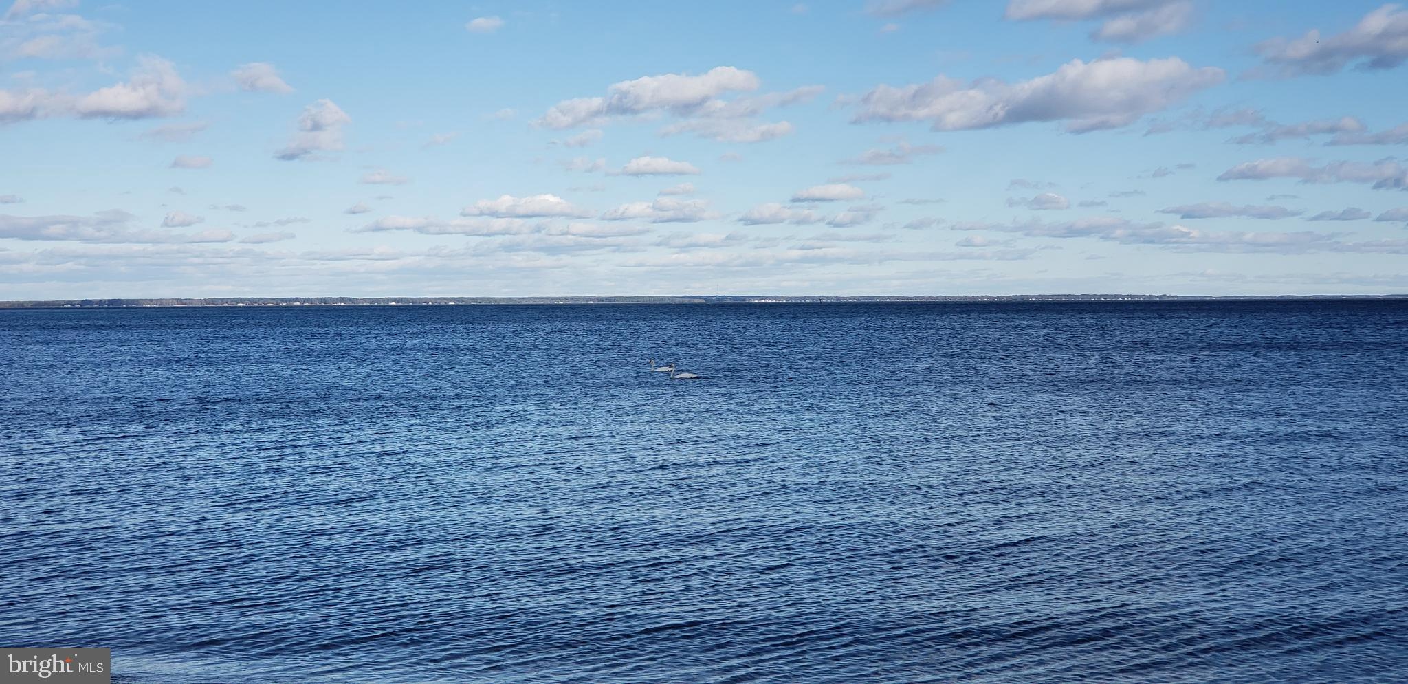 1233 HOLLY VISTA DRIVE