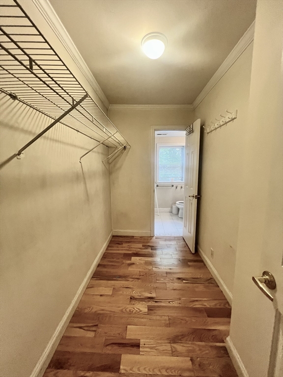 188 Newton Street # 4
