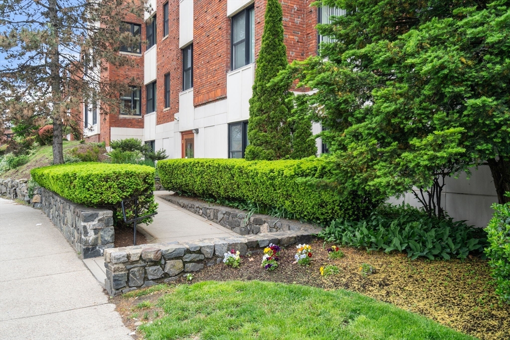 99 Chestnut Hill Avenue # 212