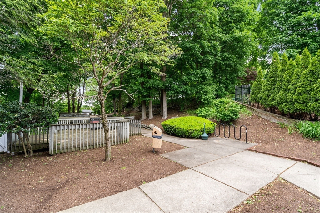 99 Chestnut Hill Avenue # 212