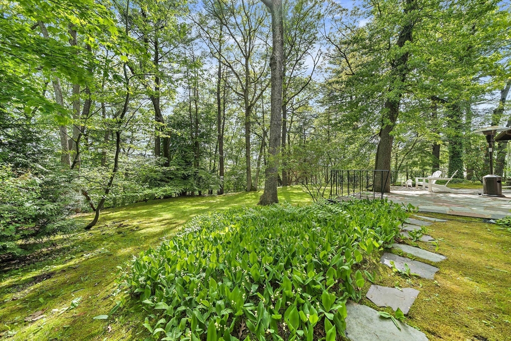 19 Ridge Rd