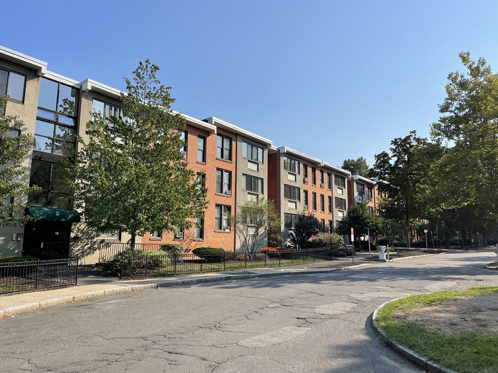 38 Juniper Street # 113