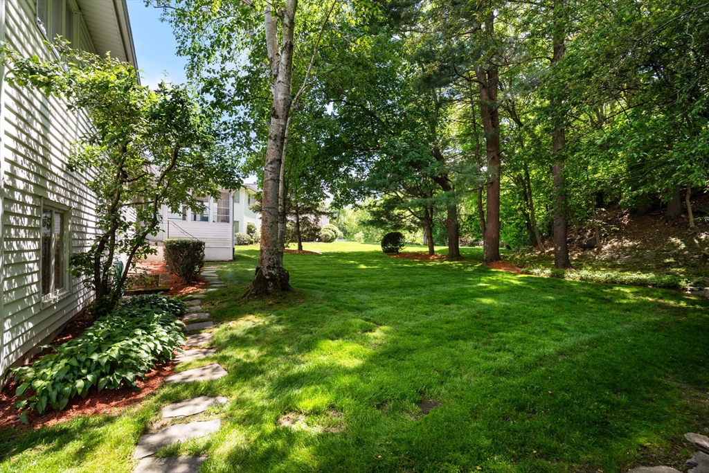61 Sevland Rd