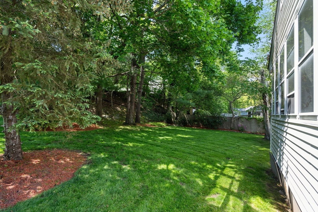 61 Sevland Rd
