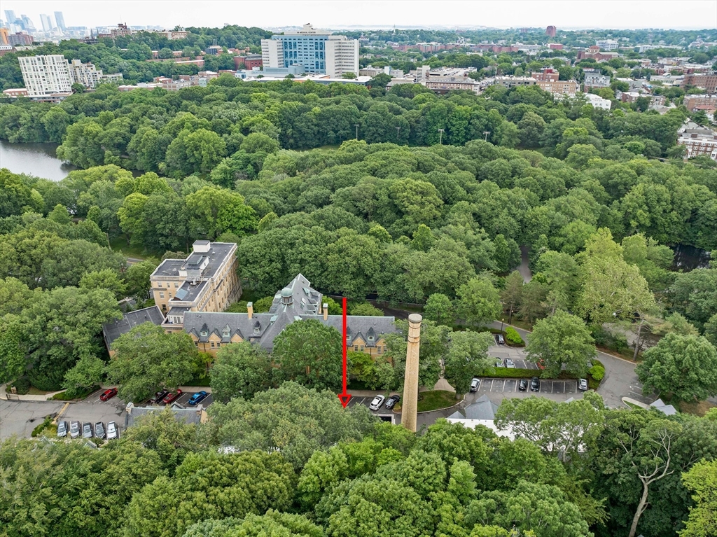 81 Glen Road # S2