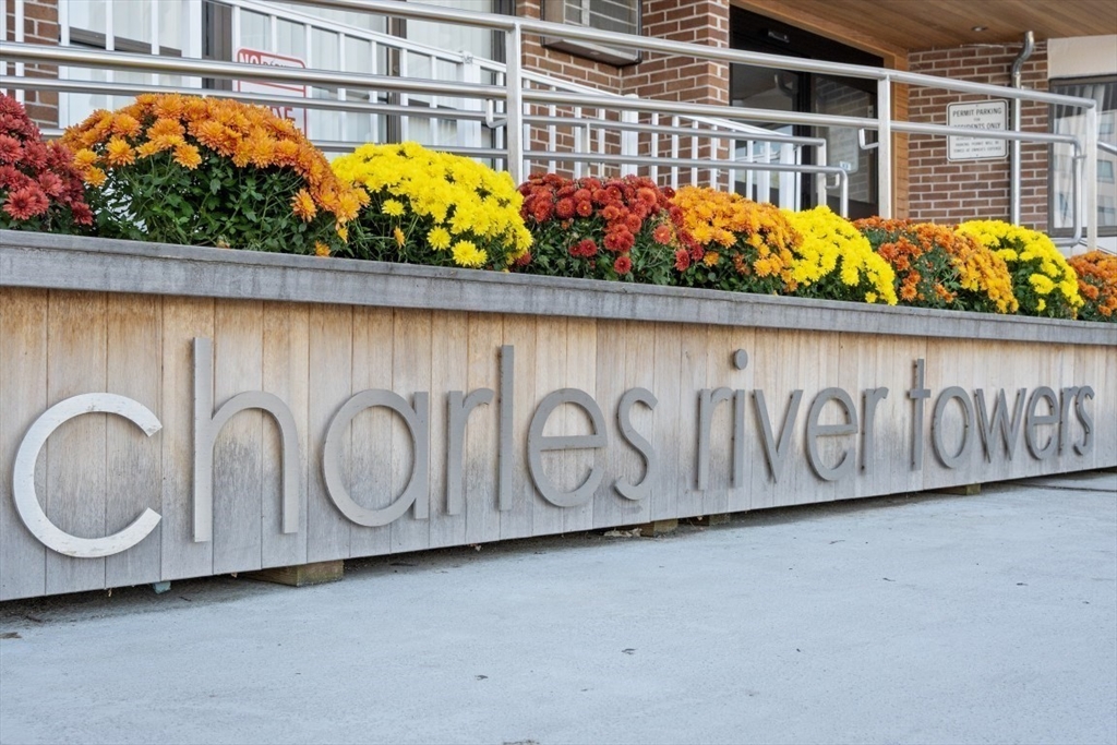 131 Coolidge Ave # 125