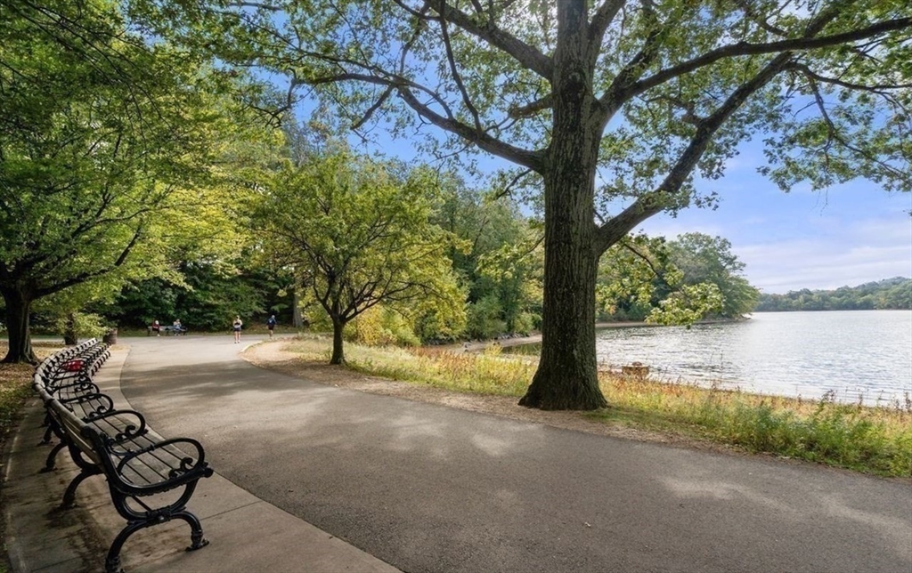 11 Spring Park Avenue # B