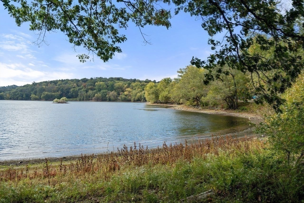 11 Spring Park Avenue # B