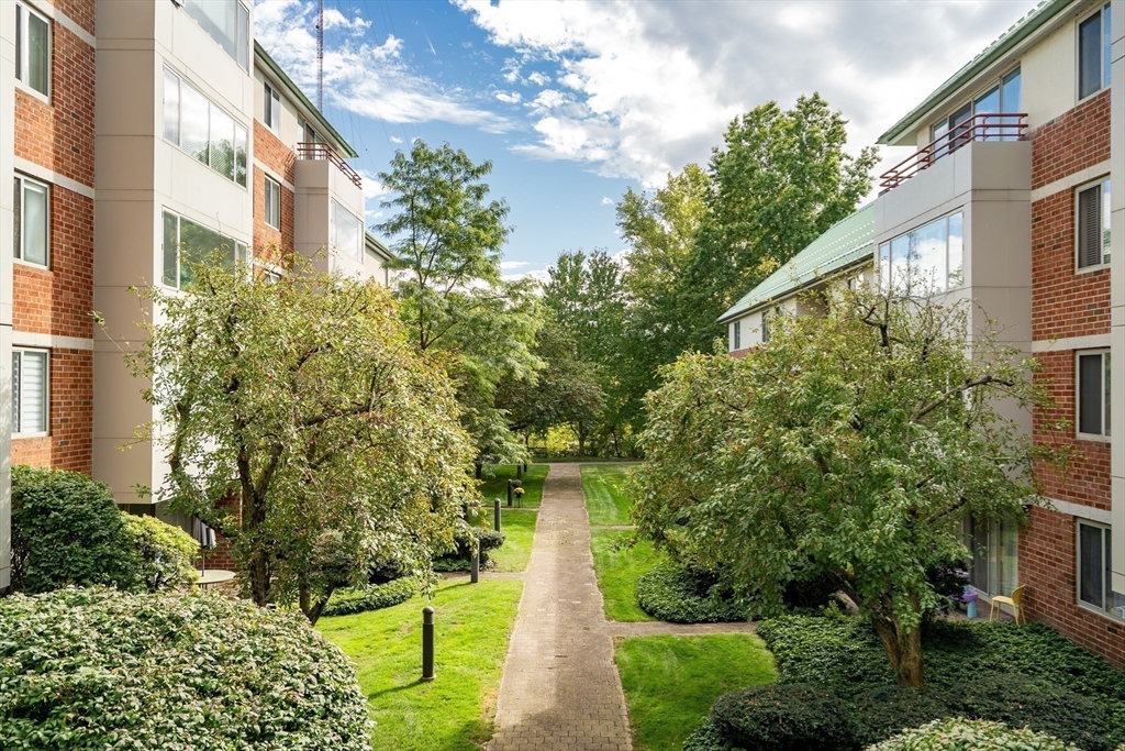 183 Oak Street # 307