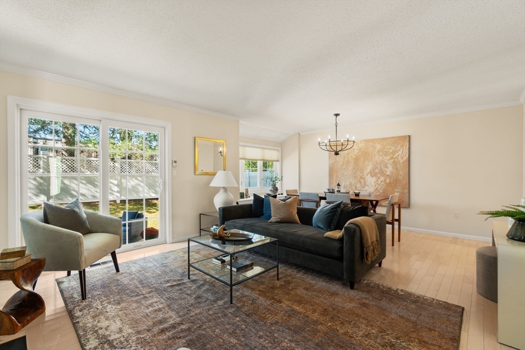 160 Pine Street # 12