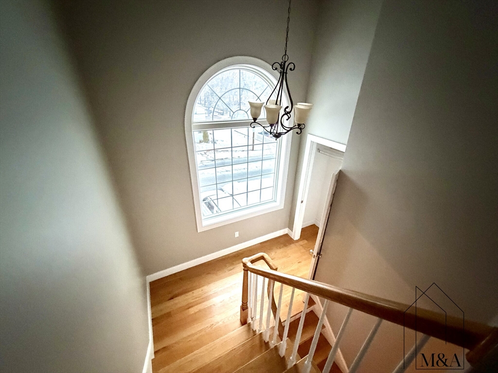 46B Dominion Road # 46B