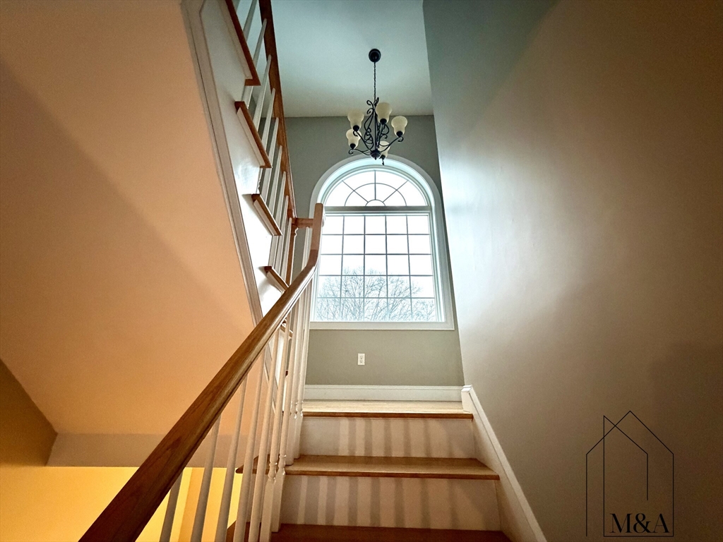 46B Dominion Road # 46B