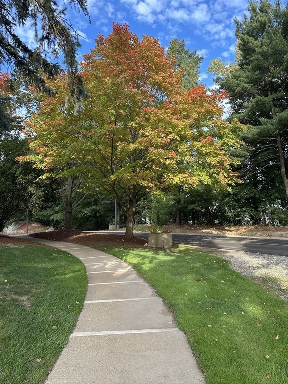 250 Hammond Pond Parkway # 1111S