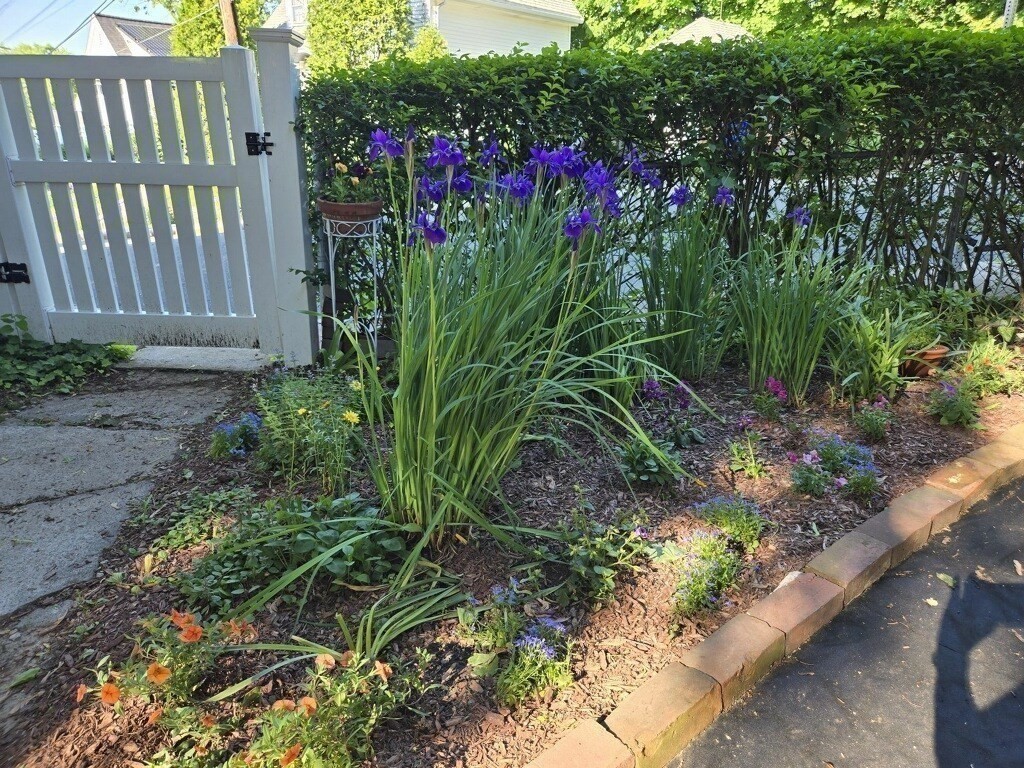 12 Bigelow Cir # 2