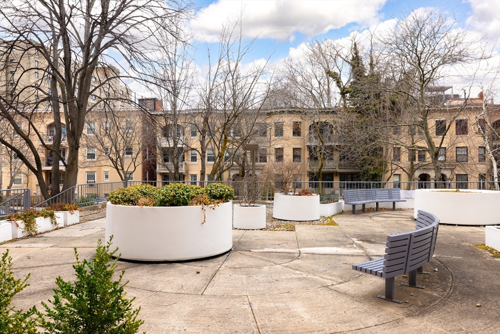 50 Winchester Street # 413