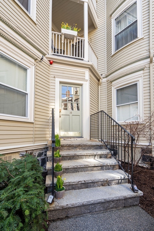14 Linden # 3