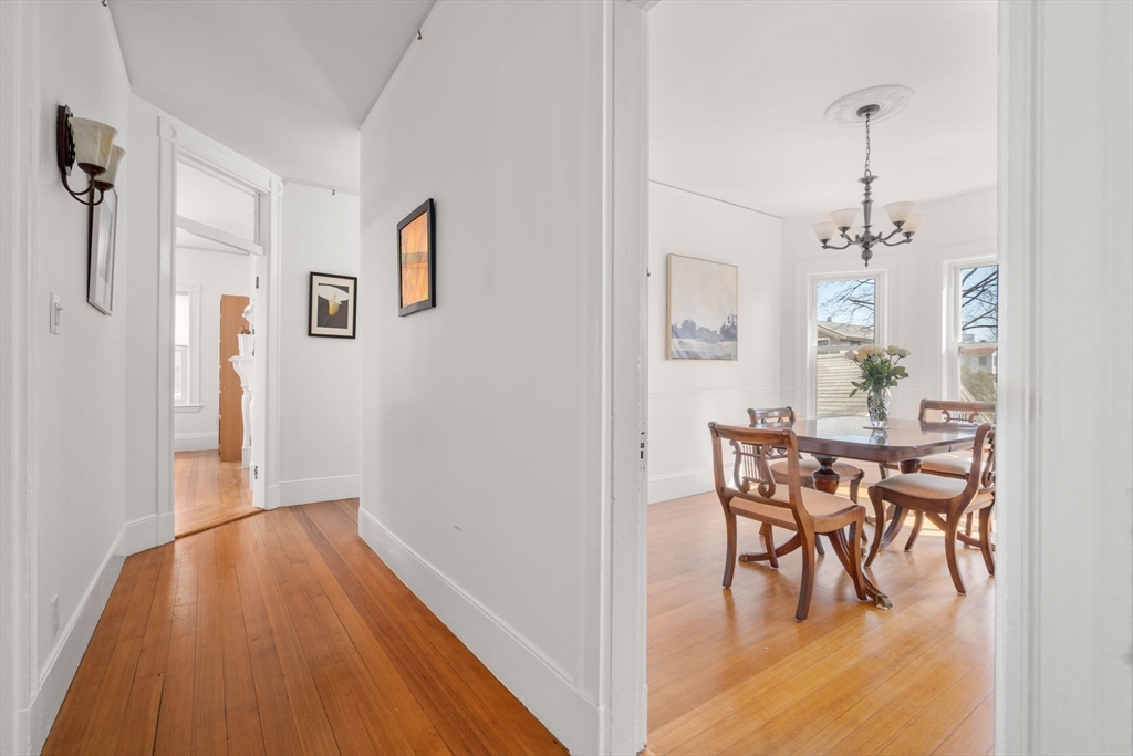 14 Linden # 3