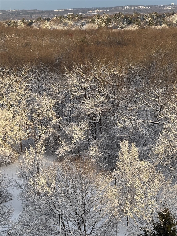 250 Hammond Pond Parkway # 1406N