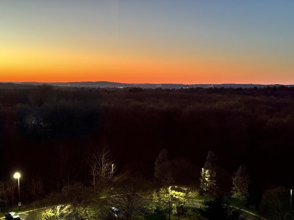 250 Hammond Pond Parkway # 1406N