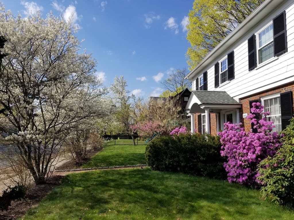 269 Waltham