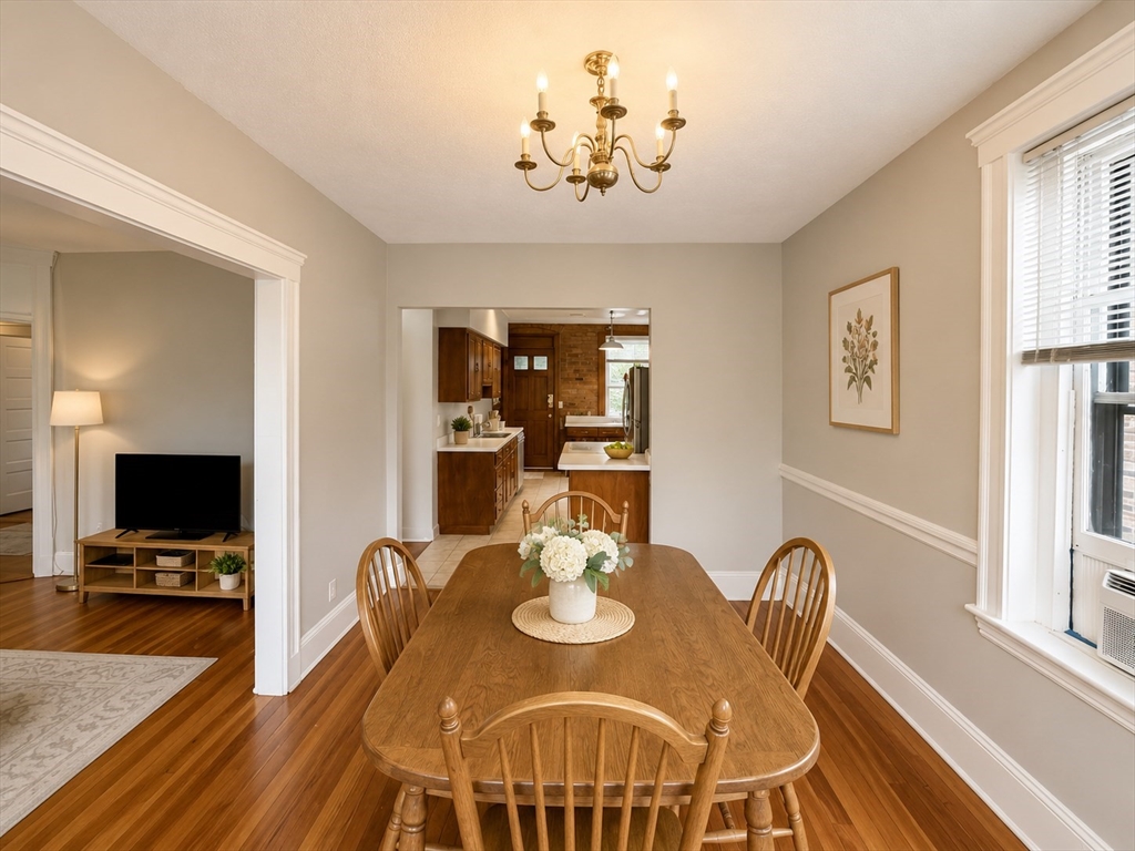 19 Netherlands Road # 3
