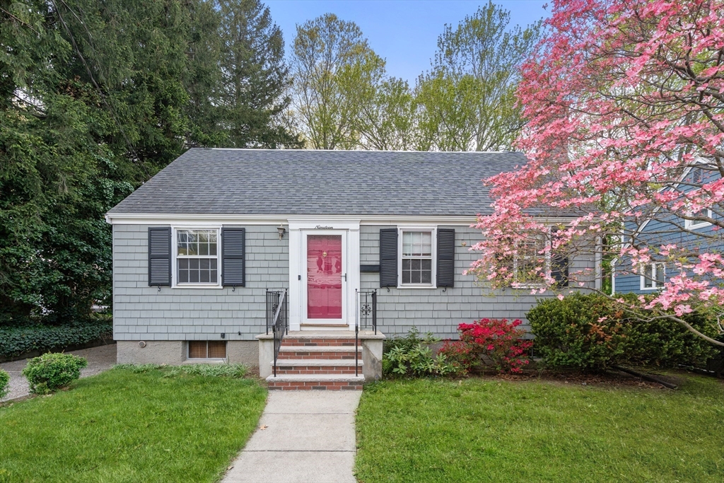19 New Haven Street