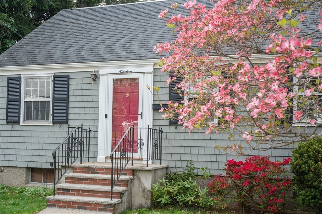 19 New Haven Street