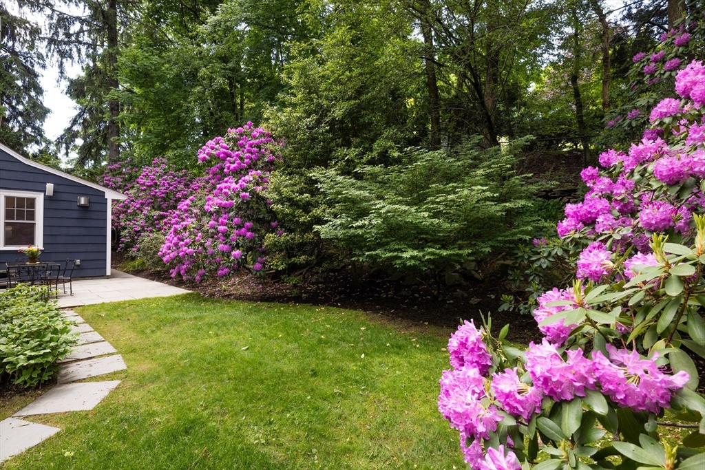 81 Intervale Road