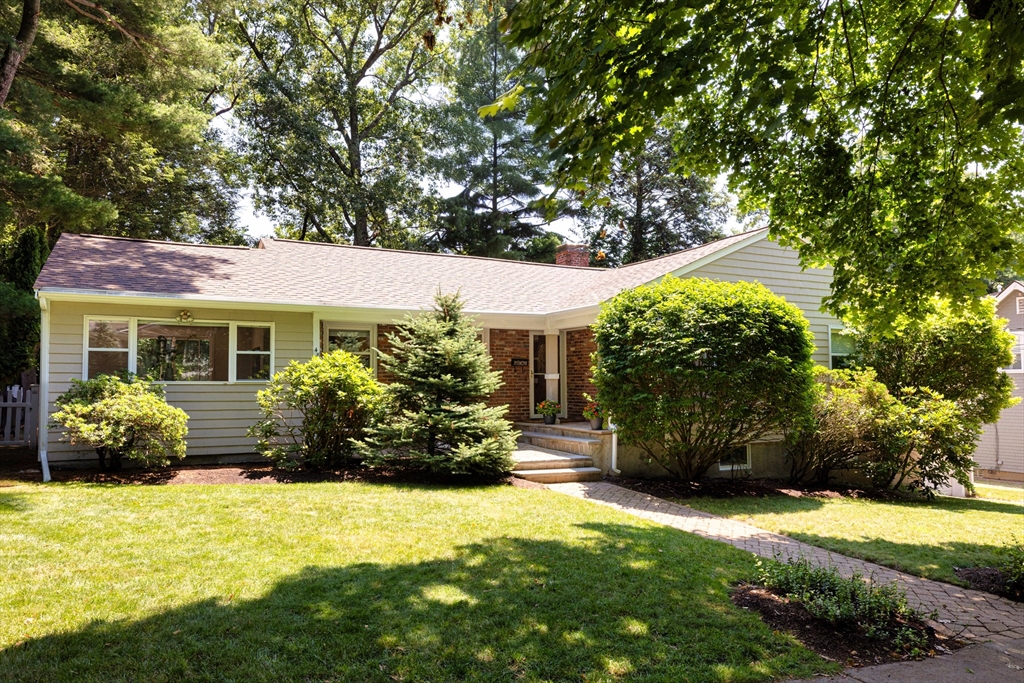 48 Goddard Street
