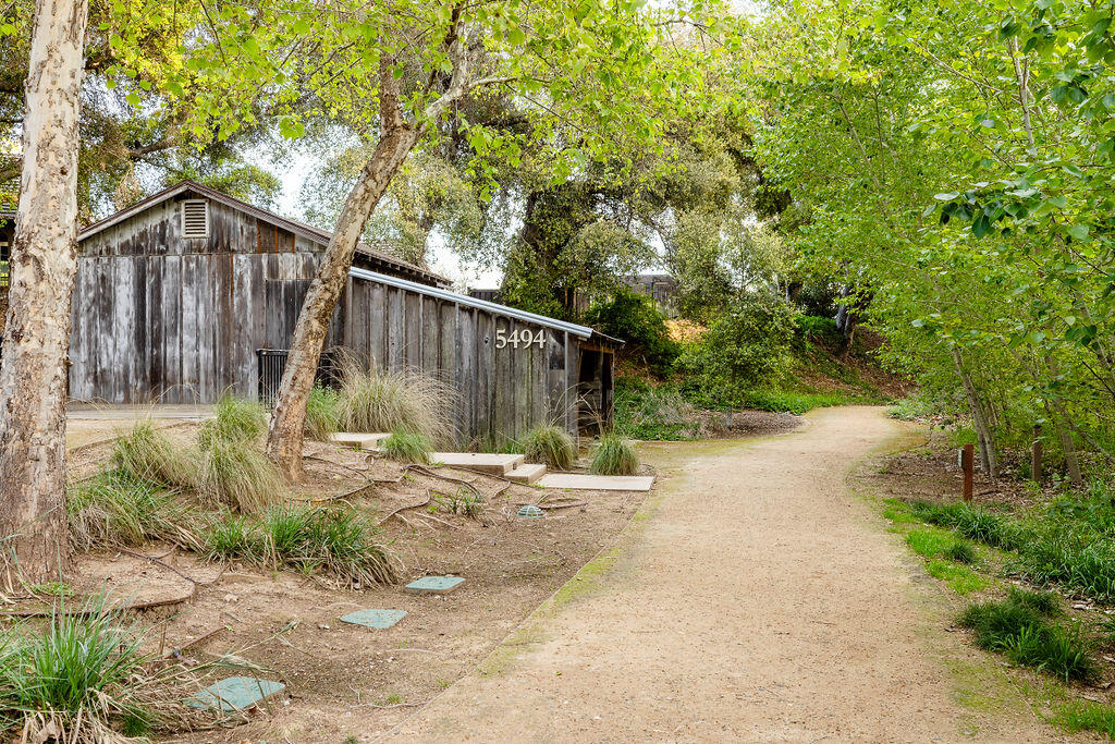 5459 Tree Farm Lane