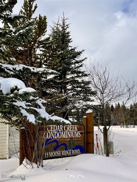 13 Moose Ridge, Cedar Creek Condos 61