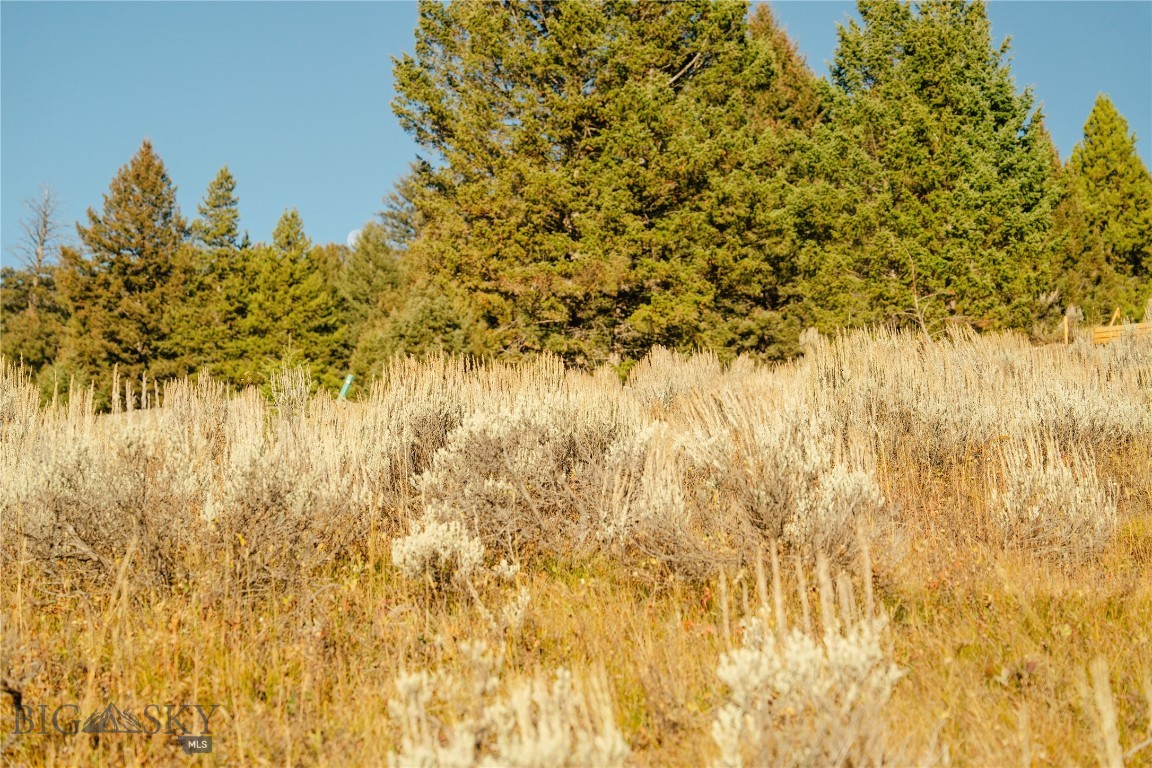 Lot 4 Upper Whitefish Drive