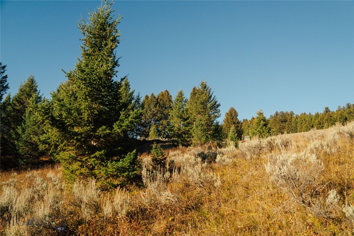 Lot 4 Upper Whitefish Drive
