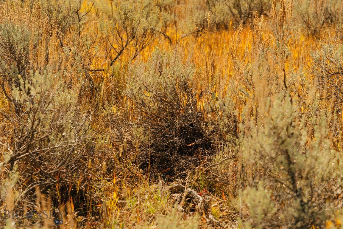 Lot 20 Upper Whitefish Drive