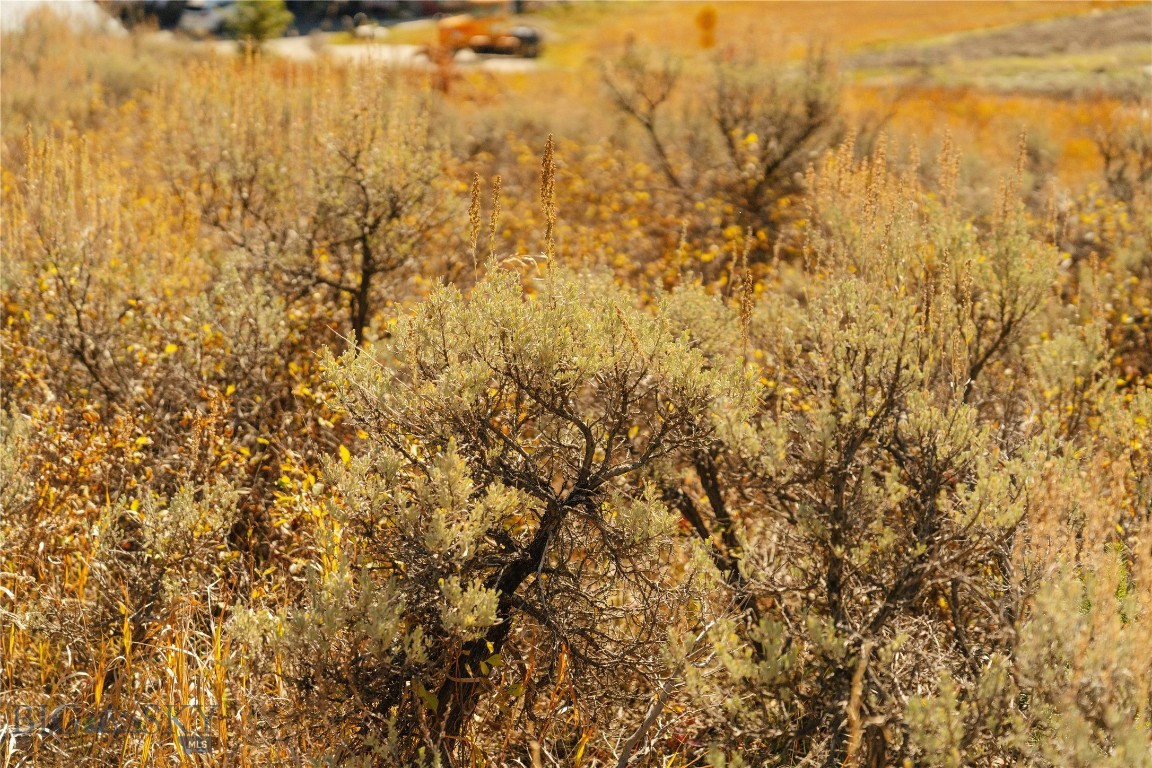 Lot 20 Upper Whitefish Drive