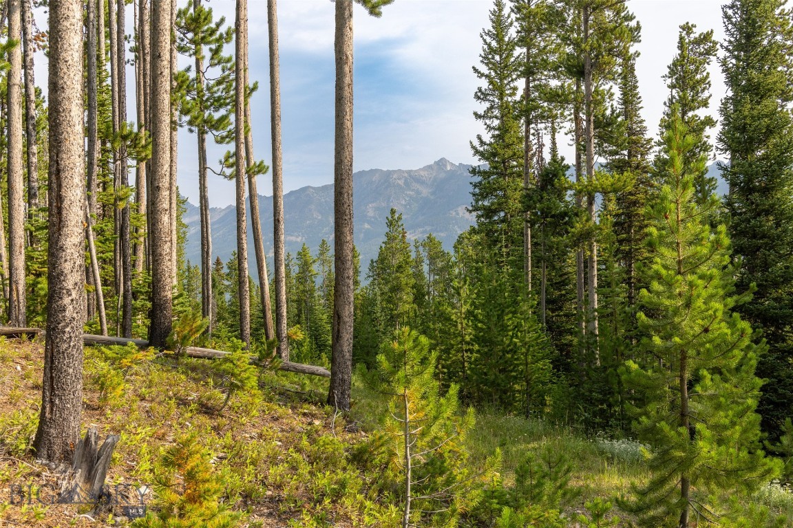 Lot 14 Peaks View Drive