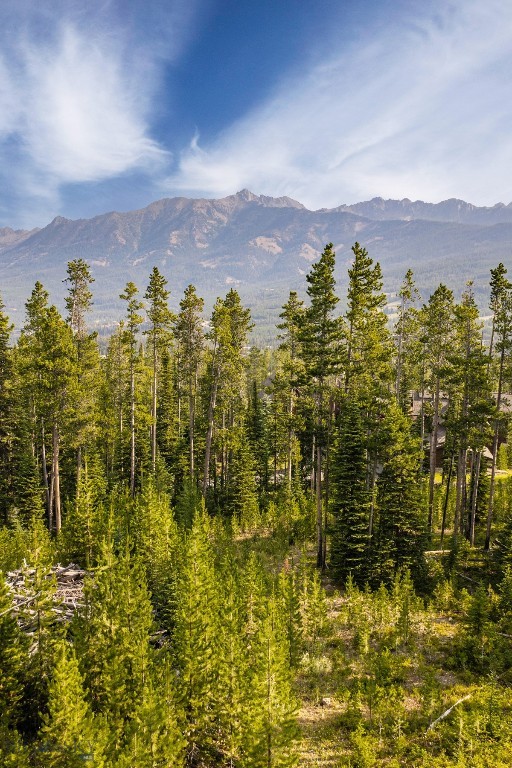 Lot 14 Peaks View Drive